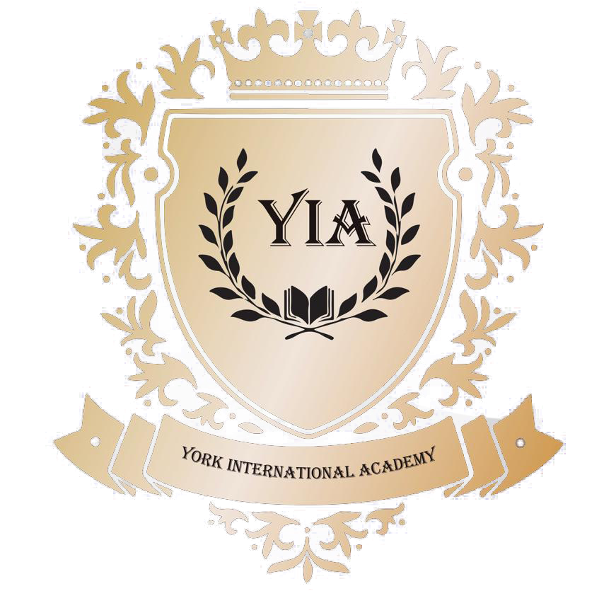 York International Academy